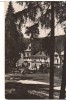 CPIB 22739 - CARTE POSTALA - BORSEC. VEDERE DIN STATIUNE, RPR, Circulata, Fotografie