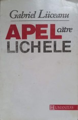 APEL CATRE LICHELE-GABRIEL LIICEANU-216143 foto