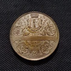 Medalie 1906 Targul Mosilor / Primaria Bucuresti / primar M. G. Cantacuzino