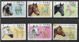 Serie / Lot 6 Timbre Cuba 1972 Rase de Cai Cal Arab Andaluz Tarpan Quarter Horse Ştampilate Habana - A007