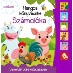 Hangos k&ouml;nyvecske - Sz&aacute;mol&oacute;ka - Szab&oacute; Zsolt