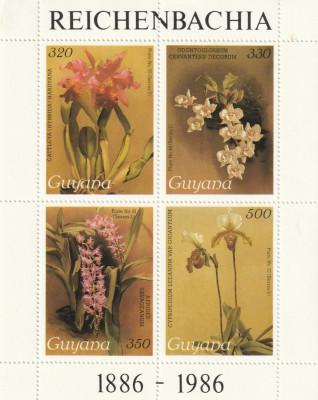 Guyana 1986-Flora,Flori,Orhidee,bloc 4 val.,dant.,nestampilat foto