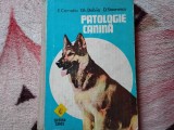Patologie Canina - E. Carnatiu, Gh. Dabija, D. Stoenescu (6)