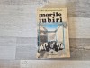 Marile iubiri de Aurel-Dragos Munteanu