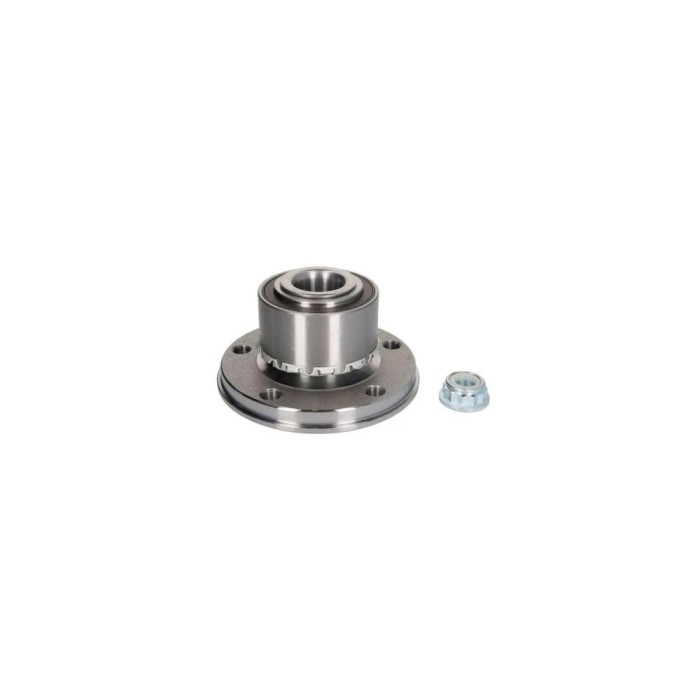 Set rulment roata VW TOUAREG 7LA 7L6 7L7 BTA H1W020BTA
