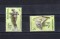Foto  - 1