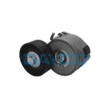 Dayco Intinzator curea, curea distributie