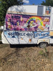 Vand rulota fast food complet echipata