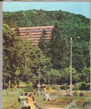 CPIB 15259 - CARTE POSTALA - SLANIC MOLDOVA. VEDERE DIN PARC