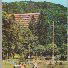 CPIB 15259 - CARTE POSTALA - SLANIC MOLDOVA. VEDERE DIN PARC