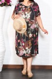 Cumpara ieftin Set Rochie si Palarie Batal cod 004 - 58Marimea