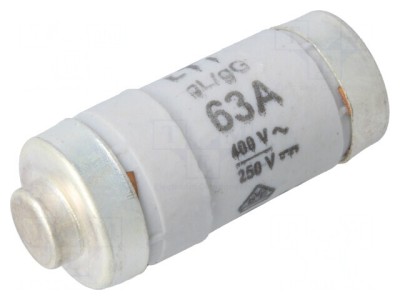 Siguranță Industrială gG/gL 63A 400V 250V D02 foto