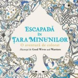 Escapada in Tara Minunilor. O aventura de colorat/***