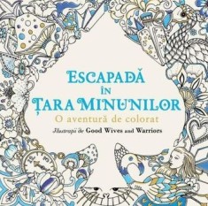 Escapada in Tara Minunilor. O aventura de colorat/***