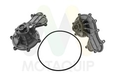 MOTAQUIP LVWP1098 Pompă de apă, răcire motor