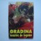 Gradina noastra de legume - M. Vladut, S. Popa