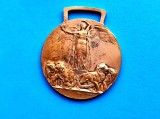 Medalie -Italia-Razboiul aliatilor 1914-1918-
