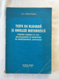 M. Ganga - Teste de algebra si analiza pentru clasele XI - XII