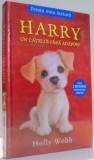 HARRY, UN CATELUS FARA ADAPOST de HOLLY WEBB, ILUSTRATII de SOPHY WILLIAMS , 2016