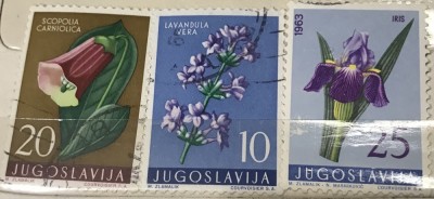 (M) Timbre serii Straine Flora Iugoslavia foto
