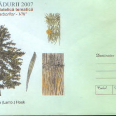 Intreg pos plic nec 2007 - Luna Padurii - Sadirea arborilor - Brad chinezesc