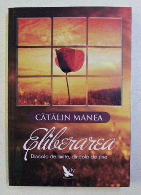 ELIBERAREA - DINCOLO DE LIMITE , DINCOLO DE SINE de CATALIN MANEA , 2015 foto