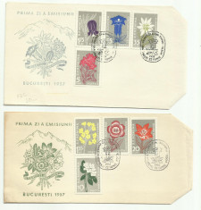 Romania FDC 1957 - Flora Carpatina - LP 432 foto