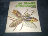 V TANASIICHUK - MI PRIMERA ENTOMOLOGIA