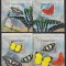 Burundi 2012 - Fluturi din Africa, 4 colite, set complet, MNH