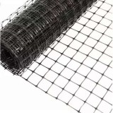 PLASA ANTICARTITA 30G/M2 - 2X50M