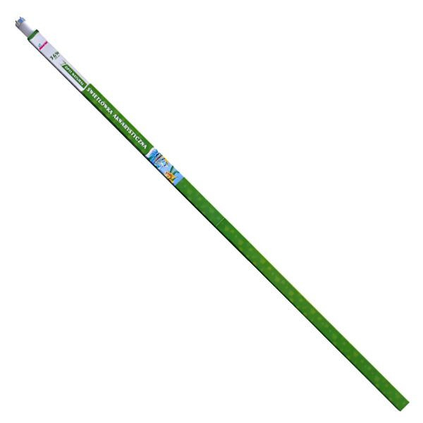 OPTI PLANT NATURAL FLUORESCENT tub fluorescent 1200 mm / 36W T8