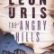 The Angry Hills
