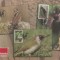 Romania, LP 2093/2016, Ciocanitori, c.p.i. maxime in etui