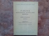 FAUNA REPUBLICII POPULARE ROMANE , CRUSTACEA , VOL. IV , FASCICULA 4 : AMPHIPODA , DE S. CARAUSU , E. DOBREANU , C. MANOLACHE , 1955