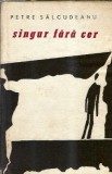 Singur fara cer - Petre Salcudeanu | Roman Clasica Editura Tineretului 1965 Stare Buna