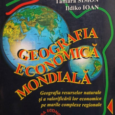 Florina Bran, Tamara Simon, Ildiko Ioan - Geografia economica mondiala (1996)