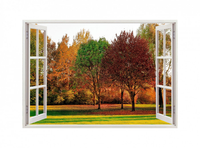 Autocolant decorativ, Fereastra, Natura si peisaje, Multicolor, 85 cm, 2651ST