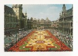 FA118 -Carte Postala- BELGIA - Brussels. Market Place, Flower carpet, necirculata 1972