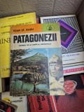 Patagonezii vintage