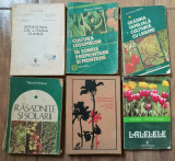Lot 6 carti Floricultura Legumicultura rasadnita solarii gradina familiala, 1980, Alta editura