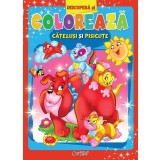 Catelusi si pisicute