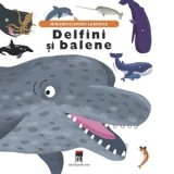 Delfini si balene - Larousse