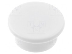 Magnet Neodim Fix 8.5mm 35N 36mm Plastic