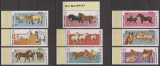 UMM AL QIWAIN 1969 FAUNA CAI ( serie dantelata ) MNH