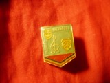 Insigna Pionier Interpret , 2x1,5cm ,metal si email