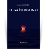 Fuga in oglinzi - Dan Rotaru - Hoffman - Roman - Beletristica
