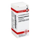 Remediu homeopat DHU Syzygium Jambolanum D6, pentru echilibrarea glicemiei, granule, 10 g