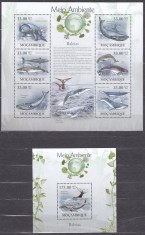 DB1 Fauna Marina Balene Mozambic MS + SS MNH