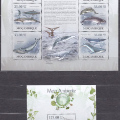 DB1 Fauna Marina Balene Mozambic MS + SS MNH