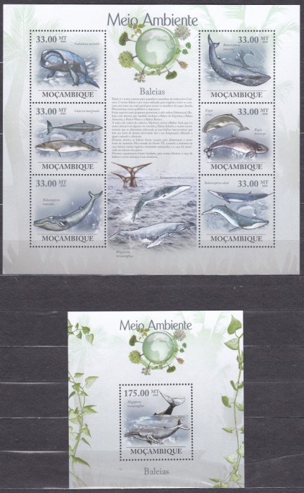 DB1 Fauna Marina Balene Mozambic MS + SS MNH